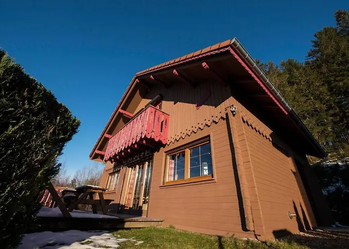 L'ourson A Gerardmer, Vue Imprenable Gérardmer